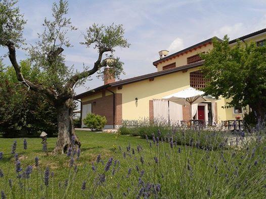 Agriturismo Anna Caterina Hotel Кастелнуово дел Гарда Екстериор снимка