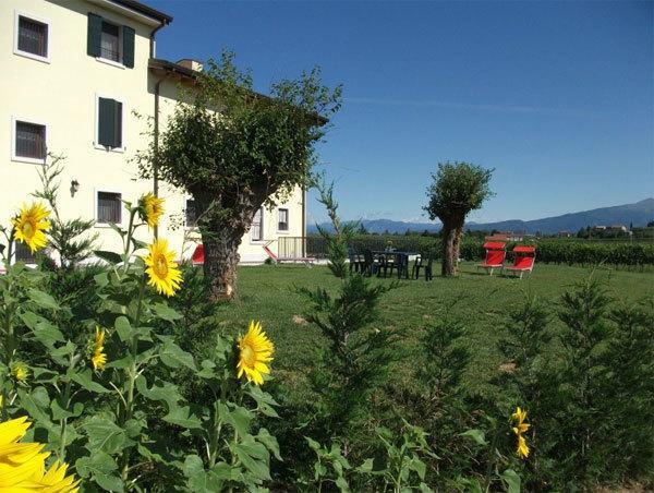 Agriturismo Anna Caterina Hotel Кастелнуово дел Гарда Екстериор снимка